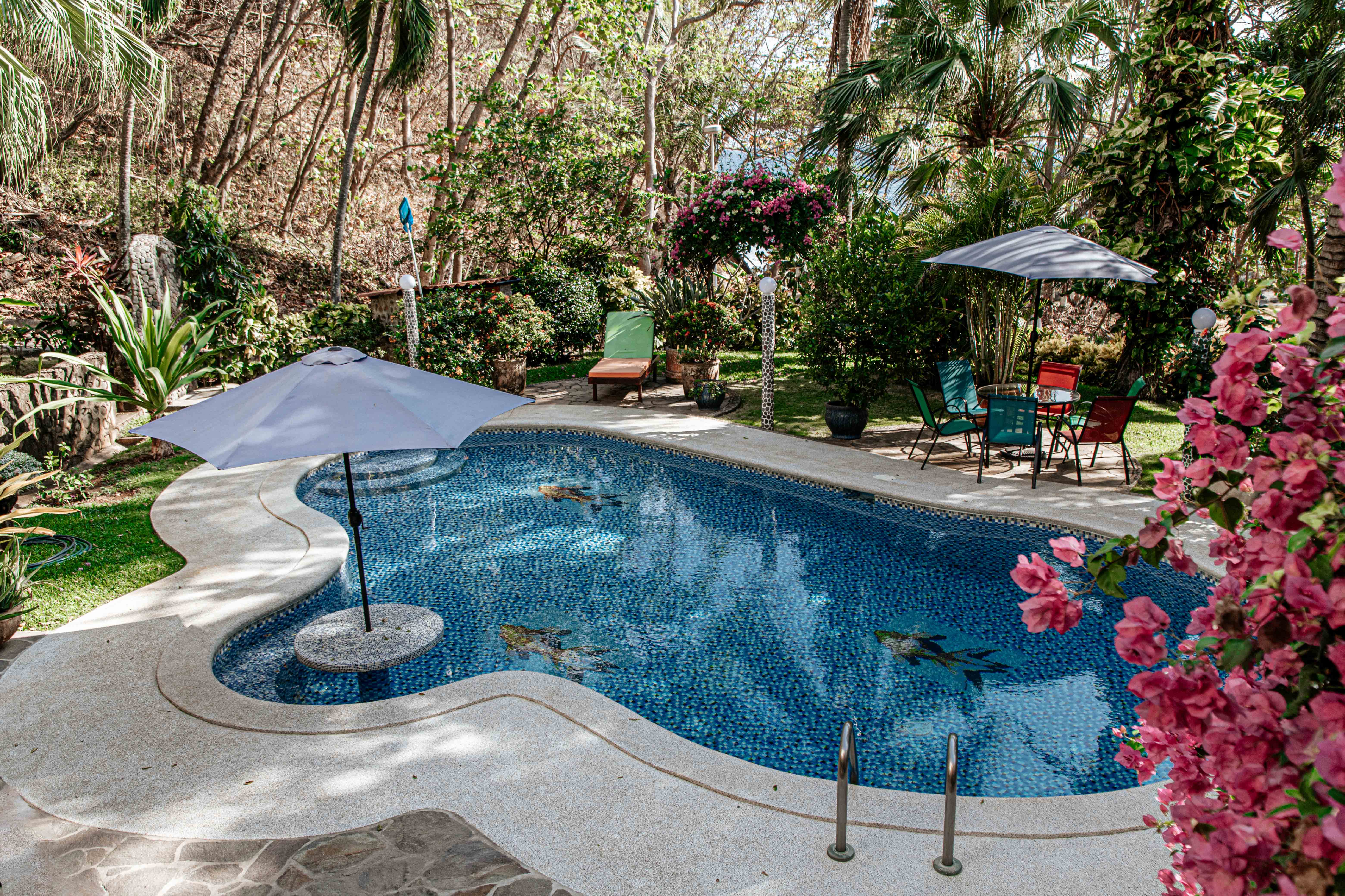 Mi Sueño private pool surrounded by tropical gardens